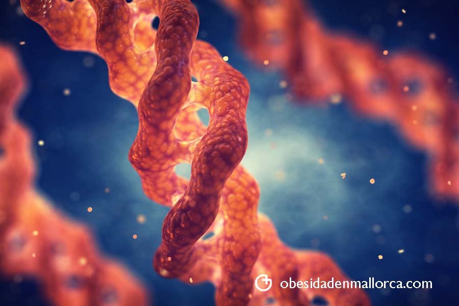 Nuestro método para tratar el contorno de los brazos