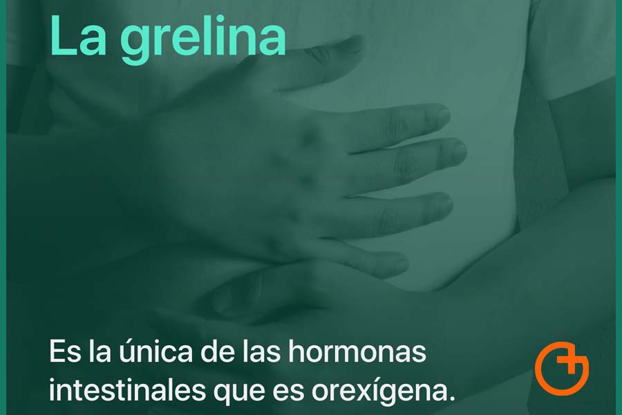 La grelina aumenta nuestro apetito ¿Podemos disminuir su efecto?